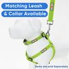 Pawtitas Dog Harness Medium Sized Dog Green Dog Harness Step in from a Senior Dog to a Puppy Harness Adjustable Reflective Dog Harness S Reflective Dog Vest