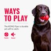 KONG Flyer - Durable Dog Toy for Outdoor Playtime - Natural Rubber Flying Disc, Dog Toy for Fetch - Safer Disc for Healthy Activity - for Small Dogs (Pack of 2)