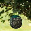Perky-Pet GSB00344 Green Seed Ball Wild Bird Feeder