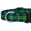 Country Brook Petz - Deluxe Blue and Green Plaid Dog Collar and Leash - Plaid and Argyle Collection with 9 Charming Designs (5/8 Inch, Small)