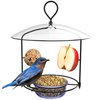 Nature's Way BBFM1 Bluebird Buffet Metal Bird Feeder with Protective Baffle, Outdoor Wild Bird Feeder and Décor, One Glass Dish with 3/4 Cup capacity, Blue