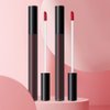 BINGBRUSH 2 Pcs Moisturizing and Silky Velvet Lipgloss Set, Matte Longwear Waterproof Smooth Lipstick for Makeup Collection - Nourishing Lipstick Lipgloss Lip Stain (set01)