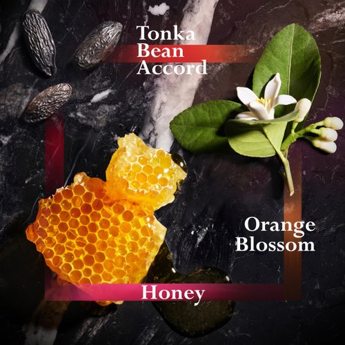 JOOP! Homme Men's Shower Gel – With Notes of With Cinnamon, Jasmine, Vanilla & Sandalwood – 5 fl oz