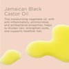 Hairitage Length Check! Hair Conditioner Treatment with Biotin & Jamaican Castor Oil, 13 Fl Oz