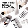 dpHUE Color Fresh Shampoo, 8.5 oz - Moisturizing Shampoo for Color-Treated Hair with Kumquat & Sunflower Seed Extract - Gentle & Effective Color Safe Shampoo