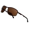 BFOCO Bifocal Sunglasses for Women Men Reading Sunglasses with Spring Hinge Readers (Brown,2.00)
