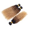 12A Ombre Brazilian Virgin Curly Hair 3 Bundles (T1B/30/27,20" 22" 24") Ombre Virgin Remy Kinky Curly Human Hair Weave Bundles 100% Unprocessed Virgin Remy Hair Bundles 3 Tone Ombre Hair Bundles