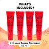 Lucas Pawpaw Lip Ointment, Lucas Pawpaw Cream, Lucas Pawpaw Ointment for Lips & Dry Skin - Unique All Skin Types, All Gender- Any Season Gift Pack with 4 x 25g Pawpaw Balm