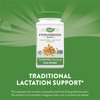 Nature's Way Fenugreek Seed, Traditional Lactation/Breastfeeding Support*, 1,130 mg, 180 Vegan Capsules