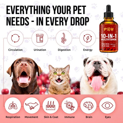 Multivitamin for Dogs & Cats | Multivitamin for Cats | Dog Vitamins Multivitamin | Pet Vitamins | Vitamin for Cats | Liquid Dog Vitamins | Liquid Cat Vitamins