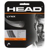 Head Lynx Tennis Racket String 40' Set - 17 Gauge Monofilament Racquet String, Anthracite