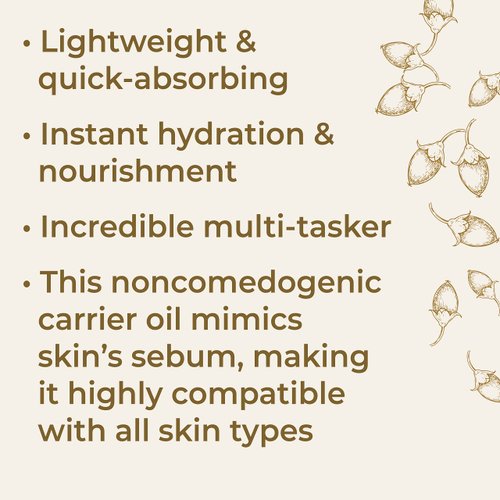 Plant Therapy Organic Jojoba Body Oil 4 fl. oz (118 mL) Base Oil for Aromatherapy, Essential Oil or Massage use, for Hair and Skin, Moisturizing