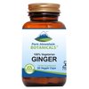 Pure Mountain Botanicals Ginger Capsules - Kosher Vegan Caps with 1000mg Organic Ginger Root