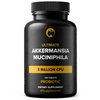 Akkermansia Muciniphila Probiotic Supplement 3 Billion CFU 240 Tablets Probiotics for Men & Women Supports Digestive & Gut Health (240, Akkermansia Muciniphila)