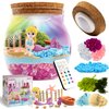 Mermaid Light Up Terrarium Kit for Kids I DIY Mermaid Toys Craft Kits for Kids I Night Light for Kids Crystal Growing Kit I Terrarium Jar for Kids I Birthday Gifts for Girls Age 4-12