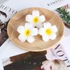 Women's Hawaiian Plumeria Flower Hair Clip Wedding Bridal Hairpin Barrette Hair Accessories - 10 Pieces