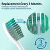 YMPBO 10 Pack Toothbrush Replacement Heads Compatible with TAO Clean Sonic Toothbrush Adults, Tooth Brush Head Toothbrush Heads Refill, Medium Bristles, Super Clean+Whitening
