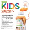 Kids Vitamin C Gummies with Echinacea - Immune Support for Kids, Toddlers, & Teens - Vegan, Gelatin Free, Gluten Free, GMO Free - Tasty Chewable Orange Flavored Kids Immunity Gummy