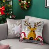 Ylkgogo Latch Hook Kit DIY Throw Pillow Cover Pre-Printed Reindeer Canvas Handicrafts for Kids & Adults Needlework Home Decoration 17'' x 17''