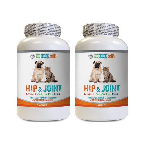 dog joint pain relief - PET HIP AND JOINT COMPLEX - DOGS AND CATS - NATURAL VET APPROVED FORMULA - IMMUNE BOOST - GOOD FOR STIFF JOINTS - dog glucosamine and chondroitin supplement - 2 Bottles (240 Ta