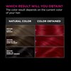 Garnier Olia Hair Color, Oil Powered Ammonia Free Permanent Hair Dye for Long-Lasting Hair Color, 6.65 Intense Red, 2 Hair Dye Kits