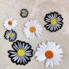 Minason Embroidered Iron on Patches for Clothing: 8Pcs Black/White Flower Daisy Petal Sew on Applique Repair Patch DIY Craft Accessories for Clothes Jacket Jeans Dress Backpacks
