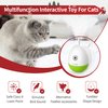 PETGEEK Laser Pointer Cat Toy Interactive Cat Toy for Indoor Cat Toys, Cat Laser Toy with Bird Squeaky, Cat Toy with Cat Wand Replacement, Best Gift for Birthday, Thanksgiving, Christmas, New Year