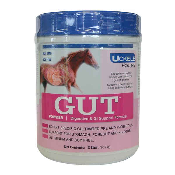 Uckele Gut Horse Supplement - Equine Vitamin & Mineral Supplement - 2 pound (lb)
