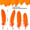 FeelfunFeather 120pcs Orange Goose Feathers 6-8 Inch 15-20cm Decorative Natural Goose Nagoire Feather Bulk for DIY Crafts Cosplay Wedding Party Christmas Halloween Home Decoration