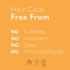 Kashmir Keratin THE ONE Leave In Mask 12 in 1 Hair Treatment 8 Fl Oz. NEW PRESENTATION/NEW FORMULA
