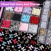 2 Boxes Mixed 3D Nail Charms and Rhinetones, Color Flower Bow Nail Art Charms, Half Round Pearl Flatback AB Nail Gems, Butterfly Alloy Nail Charms DIY Nail Art Supplies Accessories