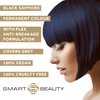 Best Hair Dye Permanent with added Plex hair anti-breakage technology, Vegan & Cruelty Free | Smart Beauty (Blue Black)