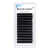 Volume Lash Extensions Easy Fan Volume Lashes .05 .07 C/D Curl Self Fanning 4D 5D 6D~10D 13mm Easy Fan Cluster Rapid Automatic Blooming Lash Extensions by WENDY LASHES(0.05-D, 13mm)
