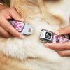 Dog Collar Seatbelt Buckle Stargazer White Pink 13 to 18 Inches 1.5 Inch Wide