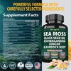 Sea Moss Black Seed Oil Ashwagandha Ginger, Organic Sea Moss Capsules with Burdock Root, Irish Seamoss Pills with Bladderwrack, Turmeric, Shilajit, Multimineral Supplement, USA (120 Capsules)