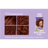 DARK&LOVELY Fade Resist Rich Conditioning Hair Color #376 Red Hot Rhythm