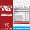 5% Nutrition Hydrate Stick Hydration Packets | Sport Electrolyte Powder Mix Packets with Coconut Water | 2-Pack | (Blueberry Lemonade + Lemon Lime)