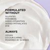 L’Oréal Paris Moisture Sulfate Free Conditioner, Hair Care for Color-Treated Hair with Rosemary Botanicals, EverPure, 8.5 Fl Oz