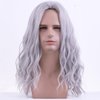 BERON Mens Silver Grey Long Wigs With Halloween Cosplay Costume Party Wig Curly Middle Part Hair Wigs