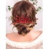 Rumtock Red Crystal Beads Rhinestones Hair Comb Red Rhinestones Hair Accessories for Wedding Brides Women Girls Dancing Ball Jewelry