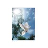 Funeral Memorial Prayer Cards (50 Cards) FPC1016EN Dove (Custom Printed - Select Desired Prayer)