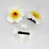 10 Pcs Hawaii Plumeria Flower Clips Hawaiian Flower Hair Barrettes Beach Party Hair Clips Artificial Tropical Flower Hairpins for Wedding 5cm