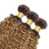 14 16 18 Inch Ombre Honey Blonde Human Hair Bundles T4/27 Kinky Curly Bundles 2 Tone Brown and Honey Blonde Bundles Unprocessed Brazilian Virgin Human Hair Extensions For Woman 100g/Pc