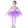 Dressy Daisy Princess Ballet Tutu Dress Fancy Dance Wear Ballerina Costume Outfit Dancewear for Little Girls Size 7-8 Purple 074