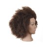 Kalyx Mannequin Head African American with 100% Human Hair Cosmetology Afro Hair Manikin Head for Practice Styling Braiding