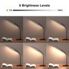 RAOYI LED Desk Lamp, 12W Dimmable Table Lamp Eye-Caring Reading Light with USB Charging Port, Touch Control, 5 Lighting Modes and 6-Level Brightness for Home Office Bedrooms (Black)
