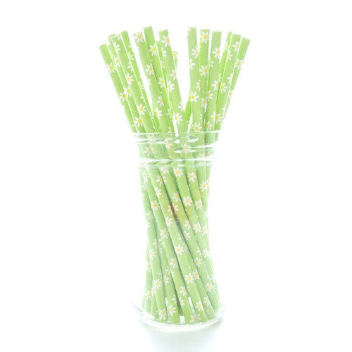 Food With Fashion Green Daisy Flowers Straws - Paper Straws for Drinking, Disposable Straws, Green Floral Wedding Straws, Garden Party Straws, 25 Pack
