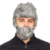 The Most Interesting Man In The World Grey Costume Wig & Beard Set
