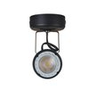 KING SHA LED Spotlight Uplighting Accent Lamp 5W (50W Halogen Light Equiv.) MR16 GU10 Bulb Warm White CRI82 Cord-n-Plug