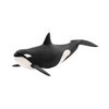 Schleich Wild Life Realistic Ocean Orca Killer Whale Animal Figurine - Authentic Wild Orca Killer Whale Toy for Boys and Girls Education Imagination and Play, Highly Durable Gift for Kids Ages 3+